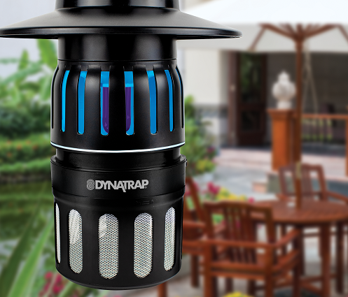 <small>DynaTrap Bug-Free Backyard Focus Group</small>