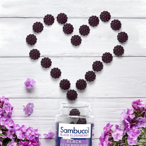 <small>Sambucol® Back-to-School & Healthy Party</small>