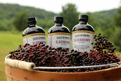 <small>Elderberry Smoothie Party</small>