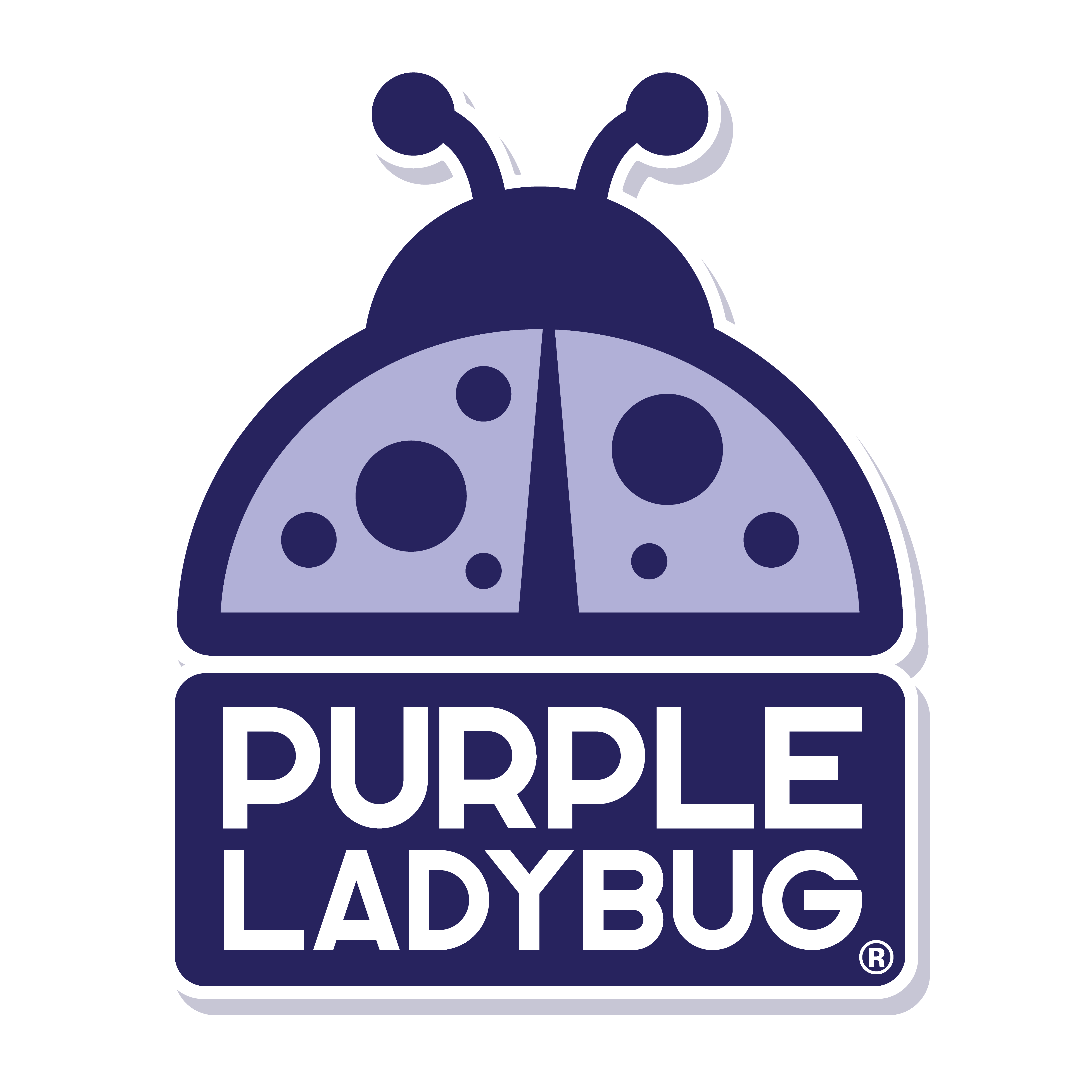 Purple Ladybug PURPLE LADYBUg gold, Silver & Rainbow Scratch Paper