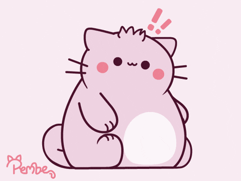 A cute pink Pembe the cat